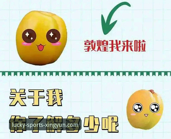杏运体育平台版本更新深度评测：从V2.1到V3.0的跨越式体验报告